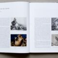 Katalog zur Ausstellung Provokation. Erschienen im Hirmer Verlag München